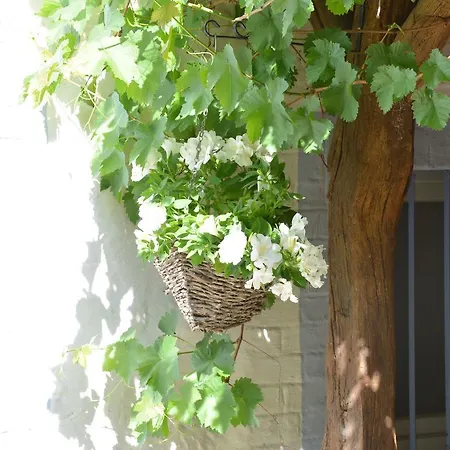 Vintage Farmhouse In With Roofed Garden Nyaraló